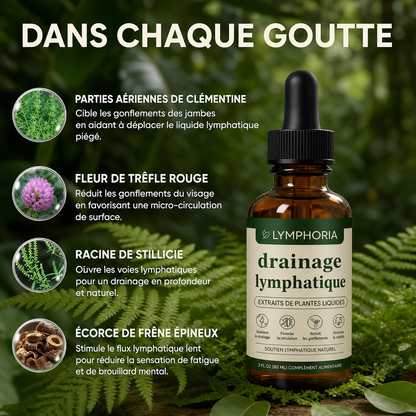 Lymphoria Détox – Gouttes de Drainage Lymphatique